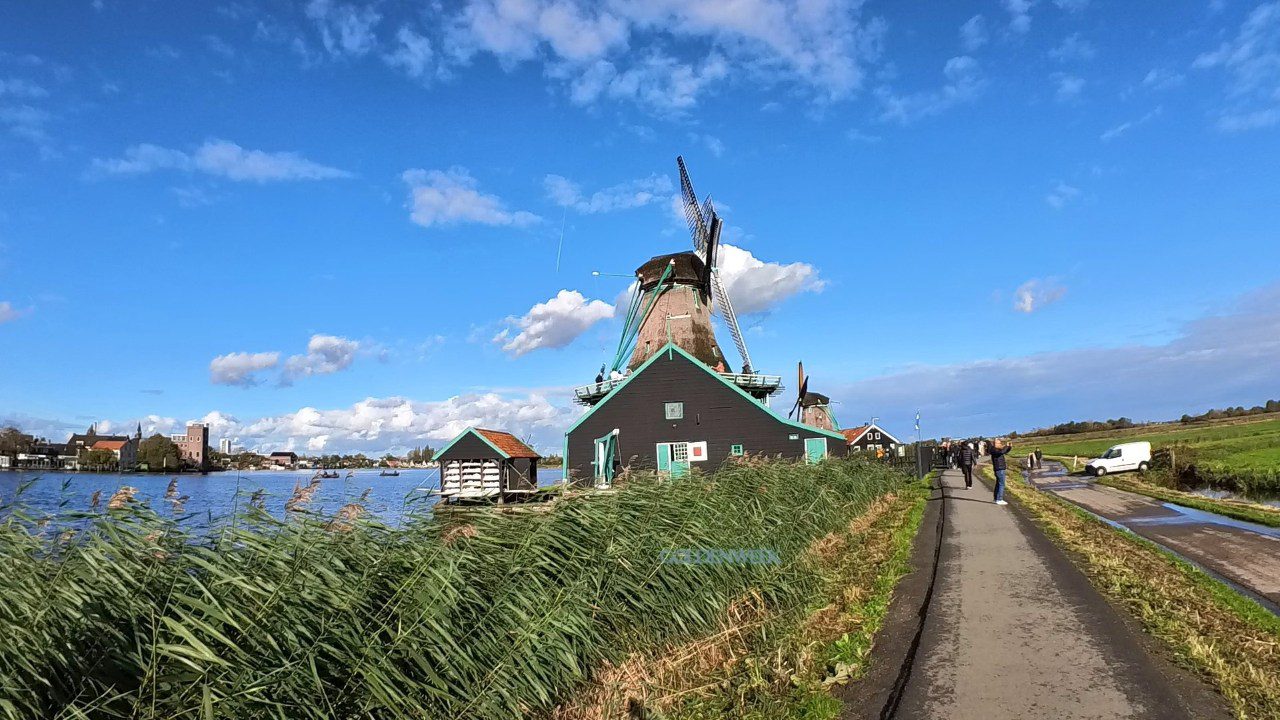 หมู่บ้านกังหันลม ซานส์ สคันส์ (Zaanse Schans) ทางเดินไม้กลางทุ่งหญ้าและกังหันลม ประเทศเนเธอร์แลนด์