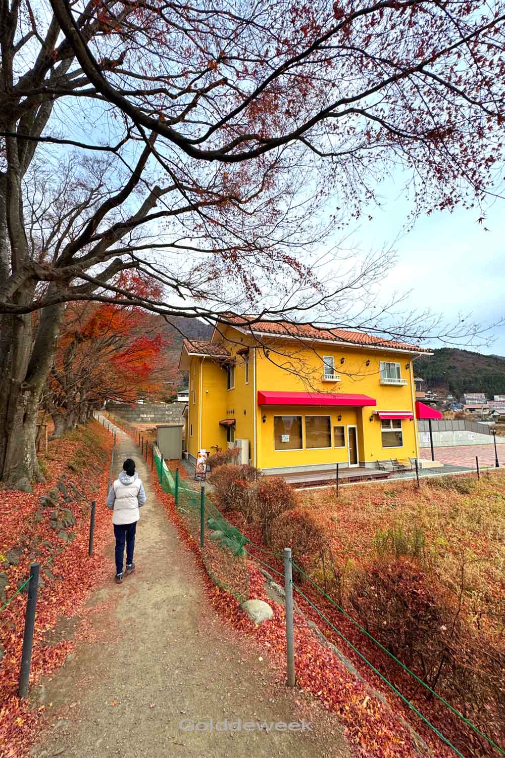 ทางเดินที่เต็มไปด้วยใบเมเปิ้ลร่วงหล่น พร้อมอาคารสีเหลืองของร้านขนมปัง Espérance ใกล้ Kawaguchiko Momiji Kairo