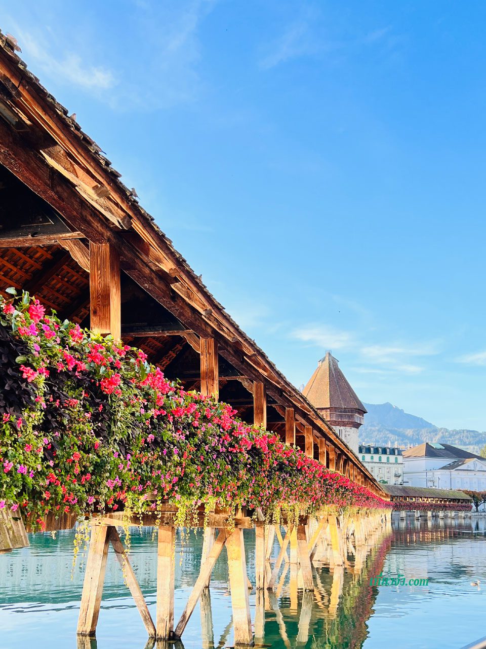 ภาพระยะใกล้ของสะพานไม้ Kapellbrücke ในเมืองลูเซิร์น ประดับด้วยดอกเจอเรเนียมสีแดงสดใส และเห็นส่วนยอดของหอคอย Water Tower