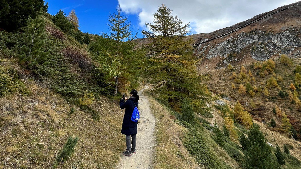 ภูเขาสลับซับซ้อน Furi Riffelberg Zermatt ฤดูใบไม้ร่วง ใบไม้เปลี่ยนสี สีเหลือง เส้นทางเดินป่า
