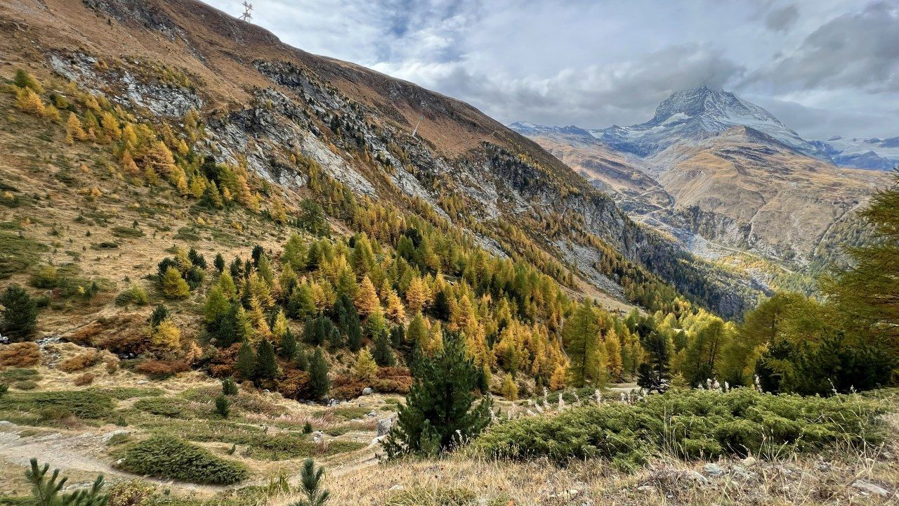 หุบเขา Zermatt ป่าสน ฤดูใบไม้ร่วง ใบไม้เปลี่ยนสี สีเหลือง ภูเขาสูง มีเมฆปกคลุม Riffelberg