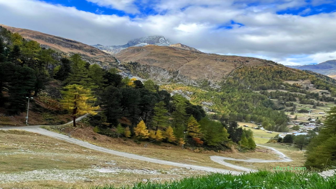 เส้นทางเดินป่า Zermatt ภูเขา Alps Furi Riffelberg ฤดูใบไม้ร่วง สีเหลือง ทอง ต้นไม้ ใบไม้เปลี่ยนสี 11:02 น.