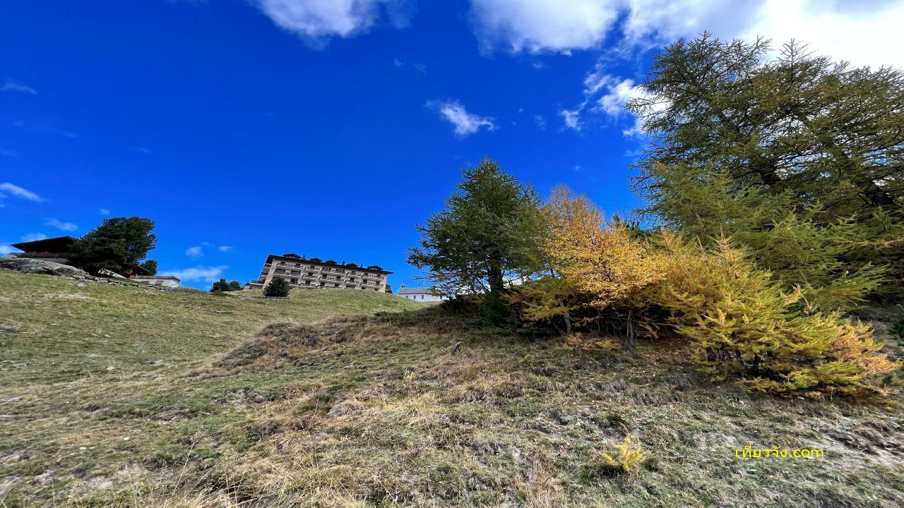 โรงแรมบนเนินเขา อาคารขนาดใหญ่ Zermatt ท้องฟ้าสีฟ้า ต้นไม้เหลือง ฤดูใบไม้ร่วง