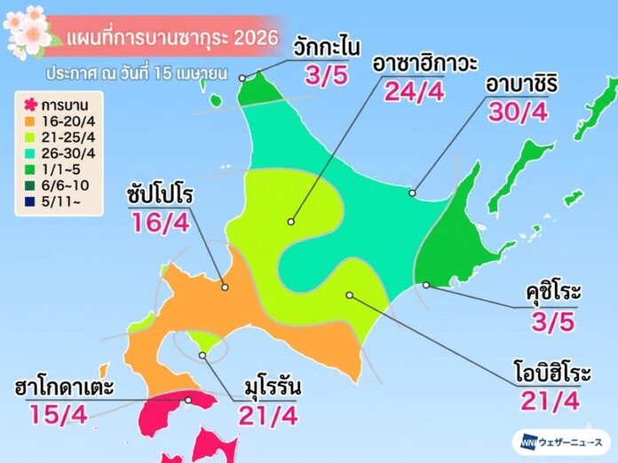 แผนที่ซากุระบานฮอกไกโด 2026 วันบานแต่ละเมือง ฮาโกดาเตะ ซัปโปโร อาซาฮิกาวะ